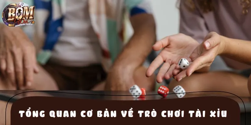 Tổng quan cơ bản về trò chơi tài xỉu