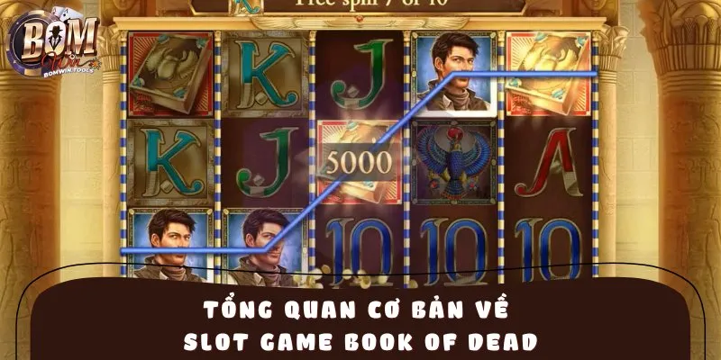 Tổng quan cơ bản về slot game Book Of Dead